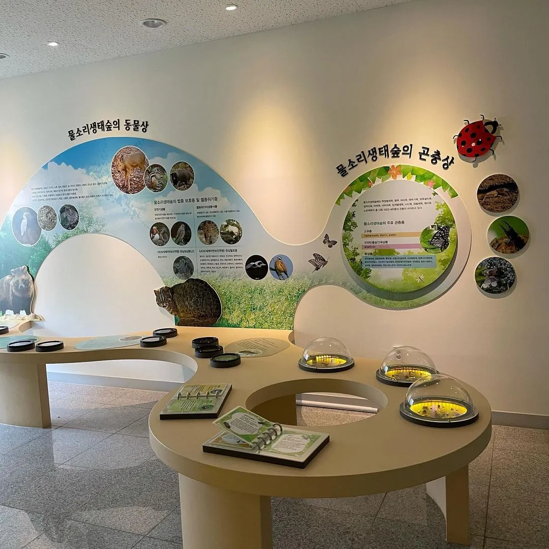 Gimcheon Mulsori Ecological Forest photo 16