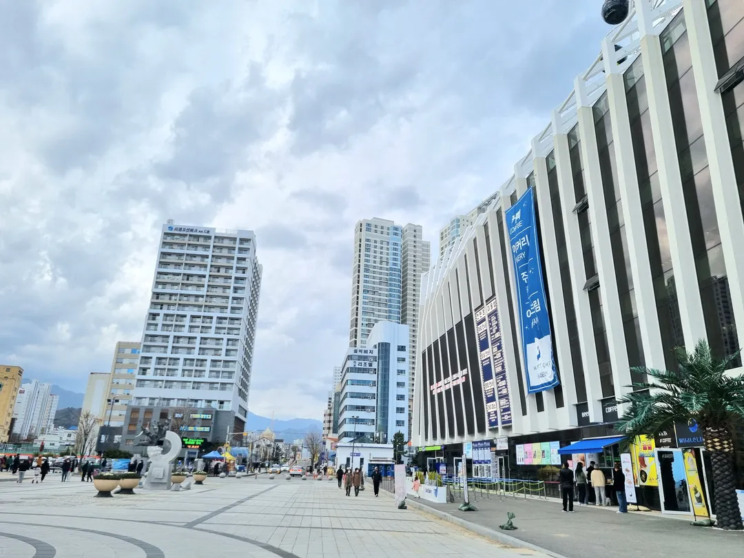 속초해수욕장 사진 16