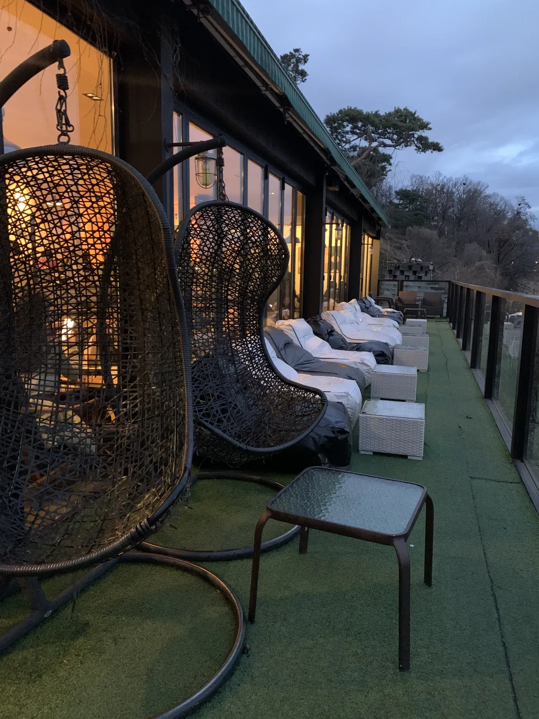 ツインツリー 写真 22