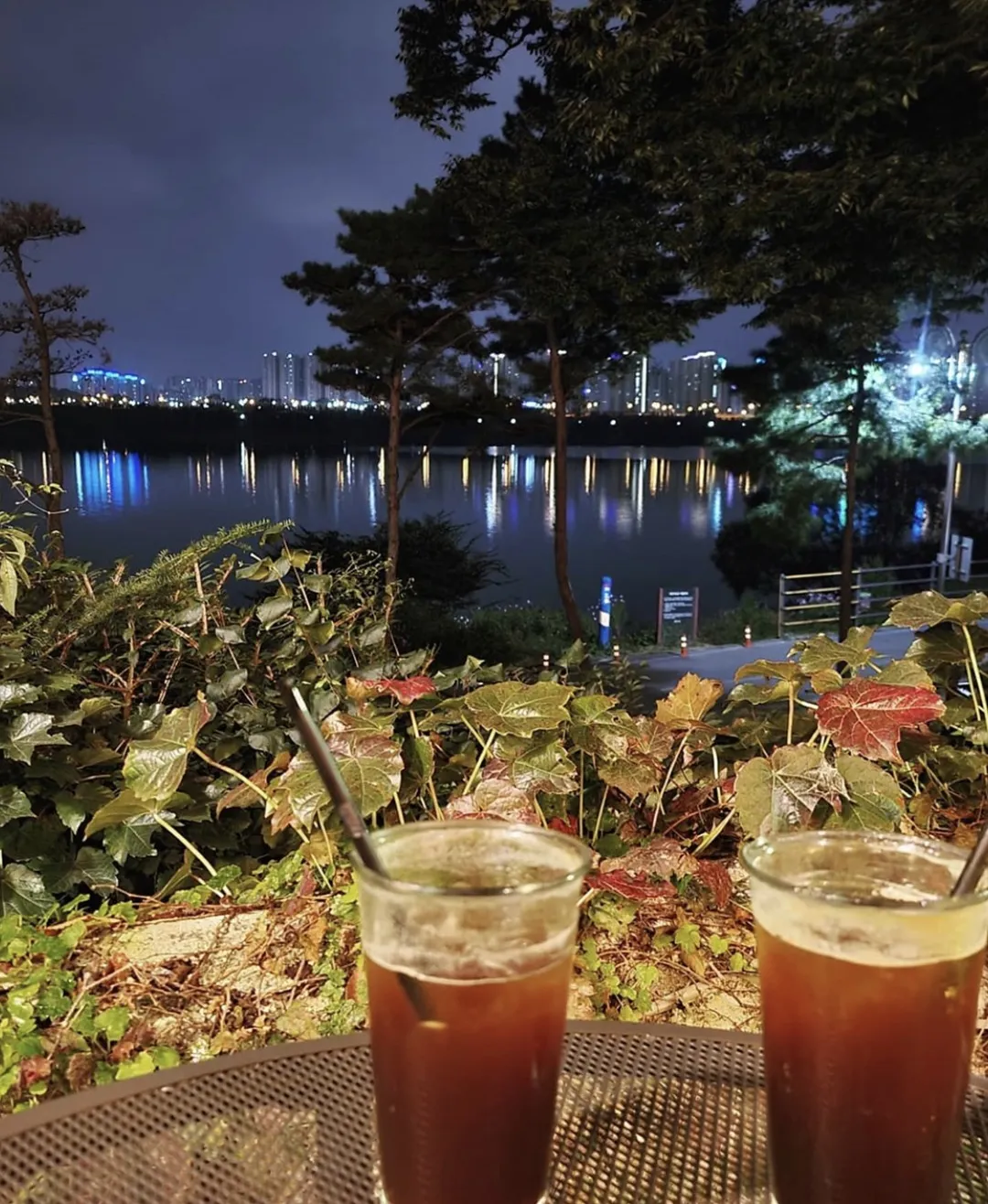 ツインツリー 写真 15