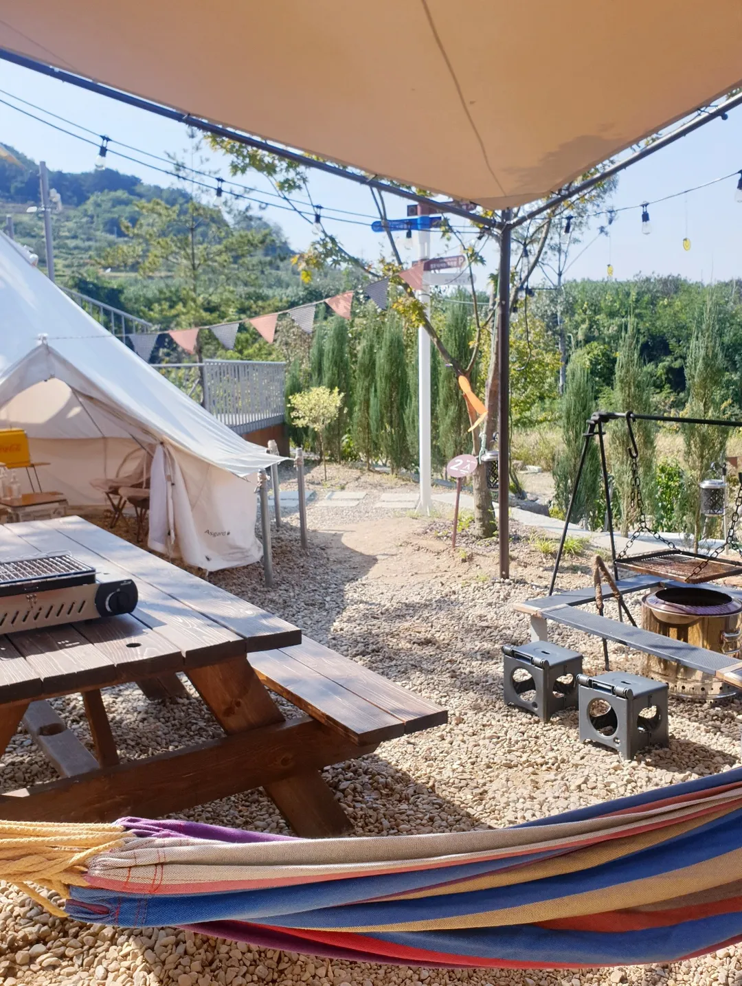 Hello Sunshine photo 18