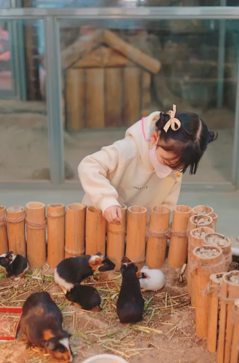 오산버드파크