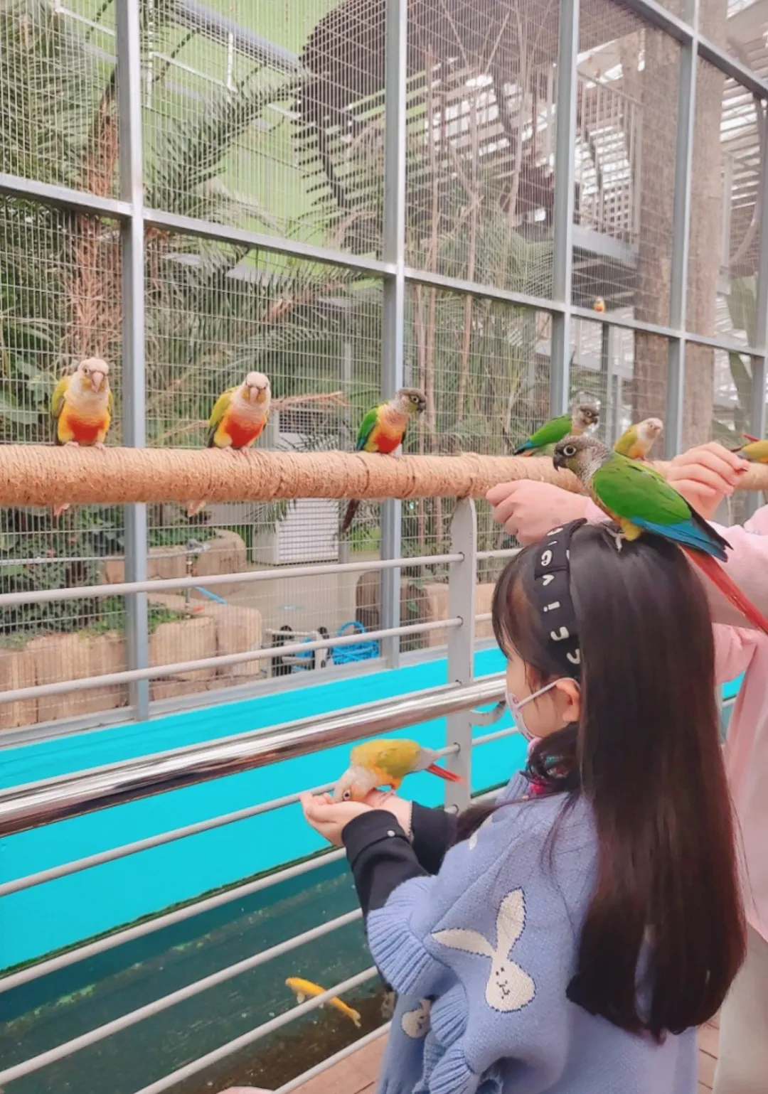 오산버드파크
