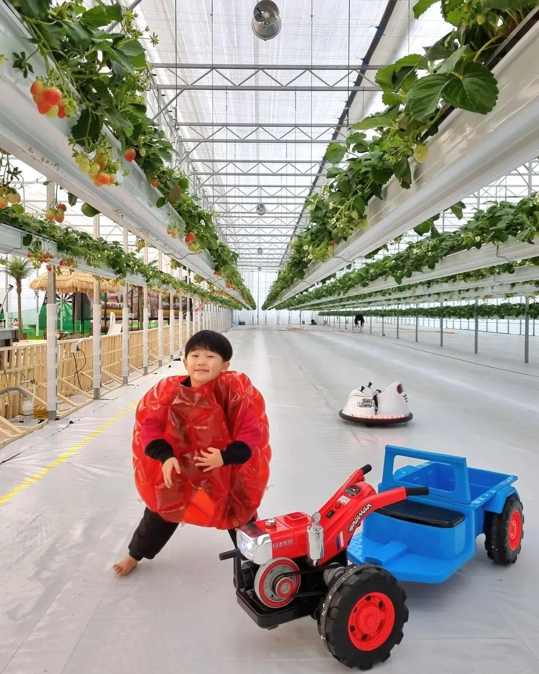 Ultra Farm photo 10