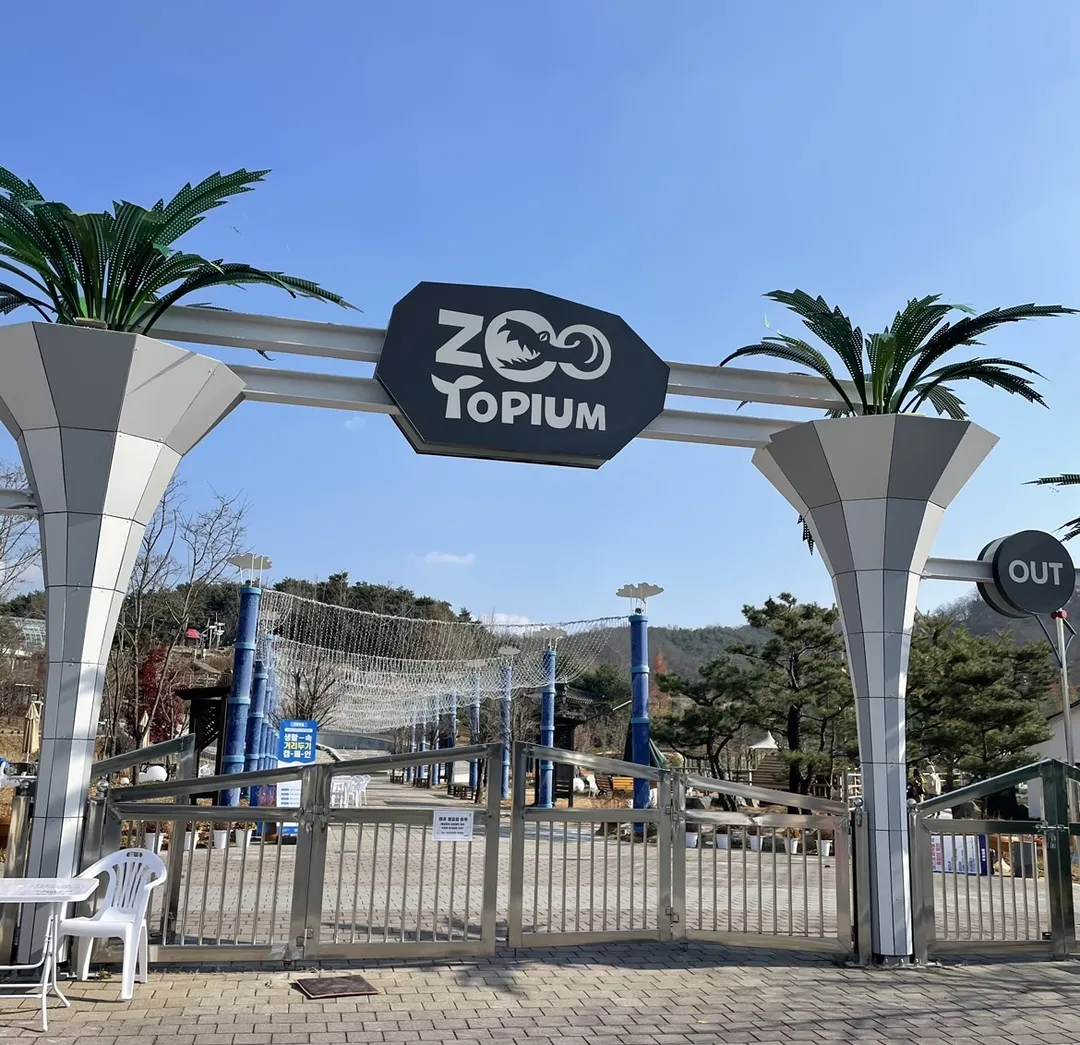 Zootopium photo 9