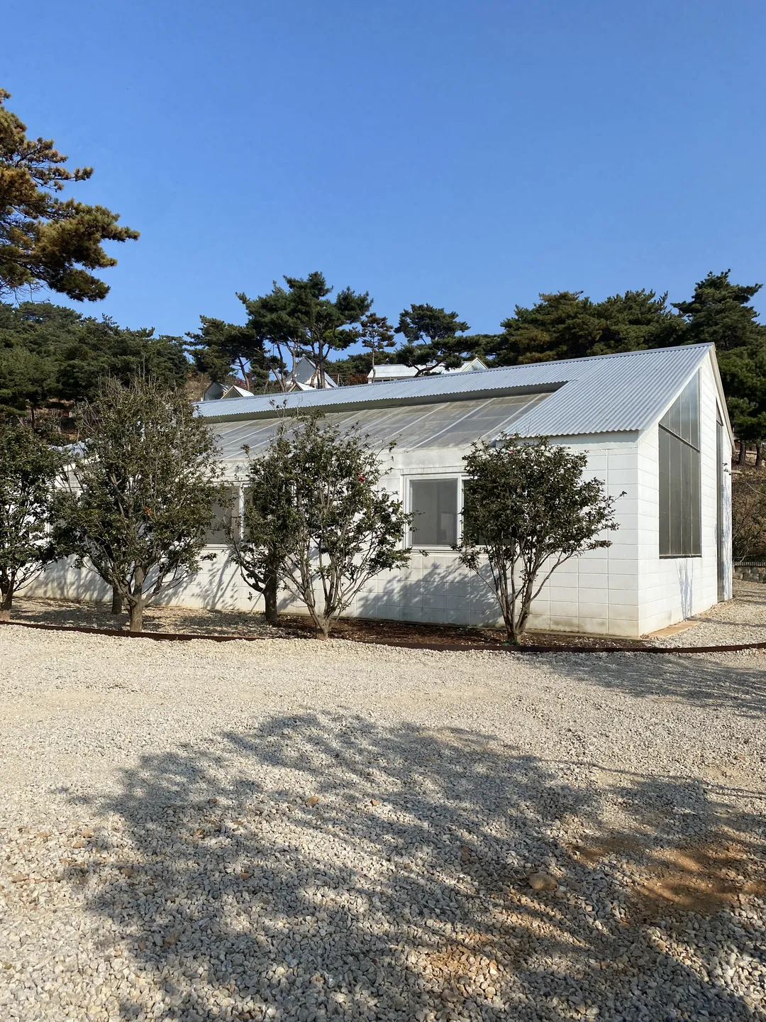 오솔길 사진 9