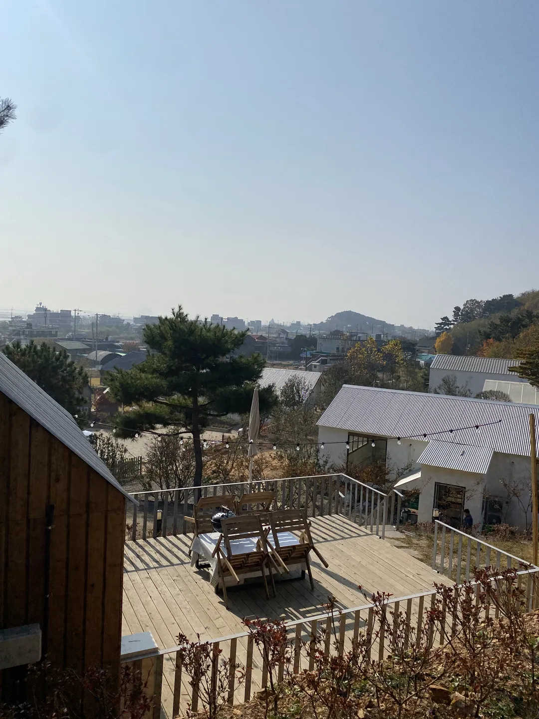 오솔길 사진 11