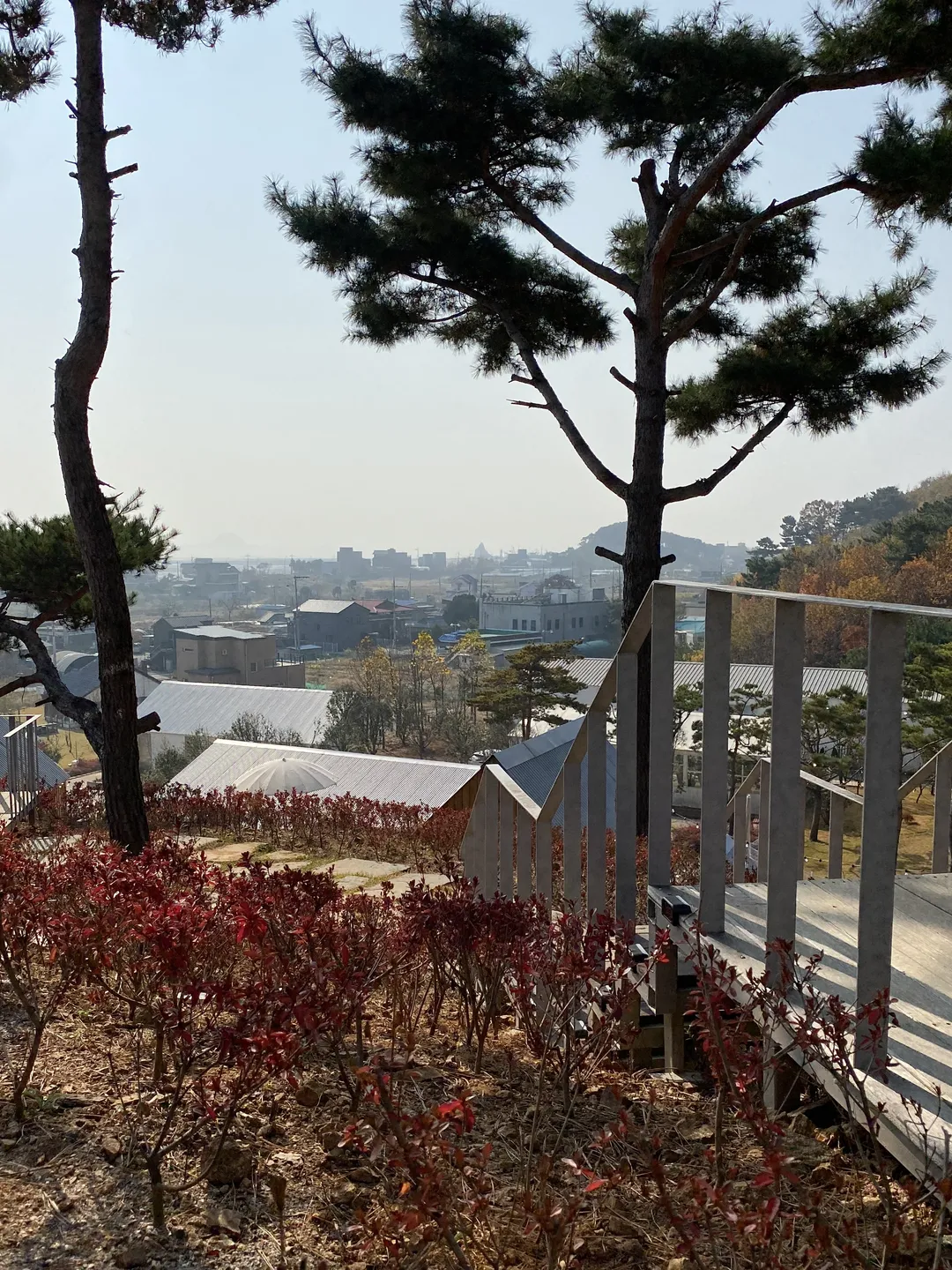 오솔길 사진 13