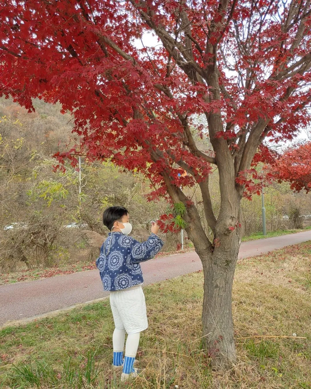 길업습지