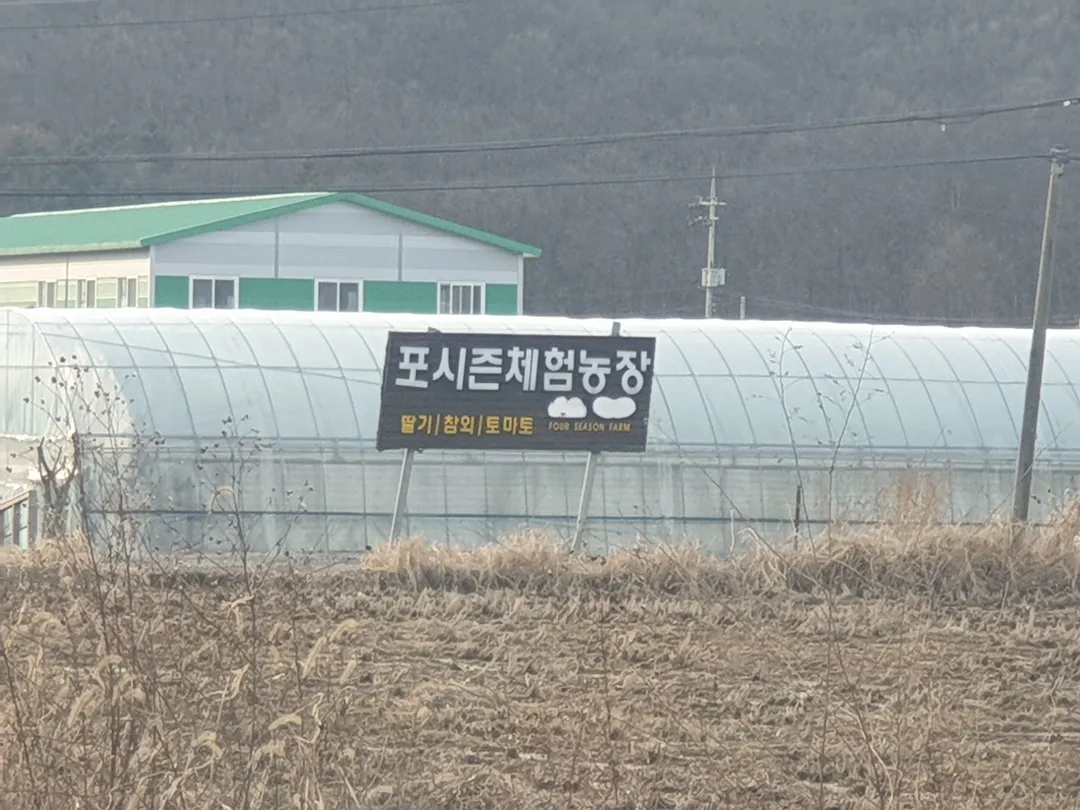 포시즌 체험농장 사진 13