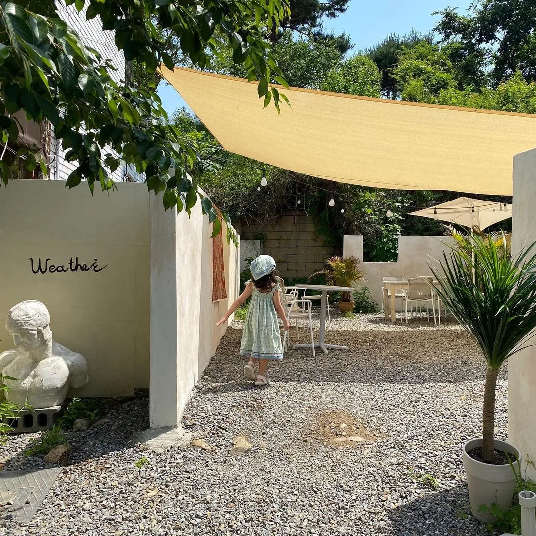 カフェウェザー 写真 26