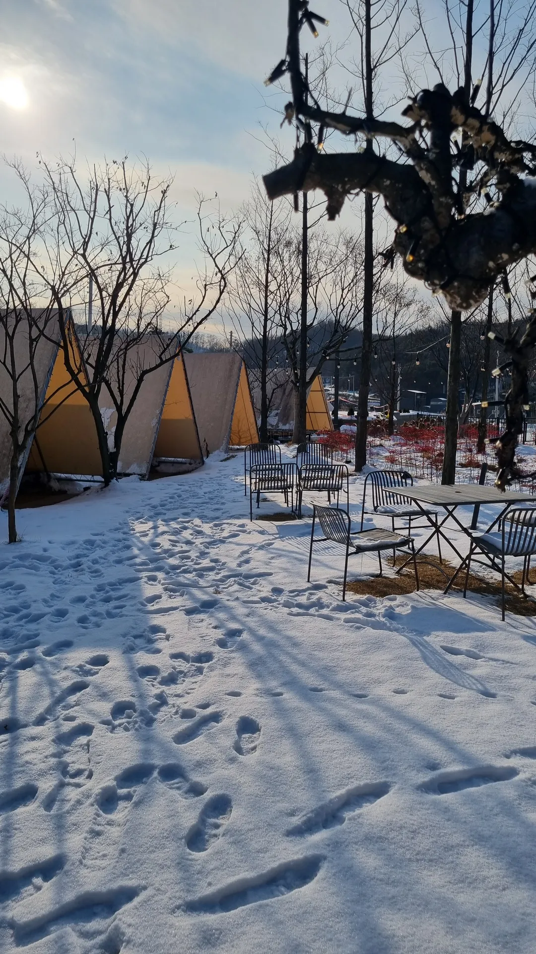 카페 온담 사진 6