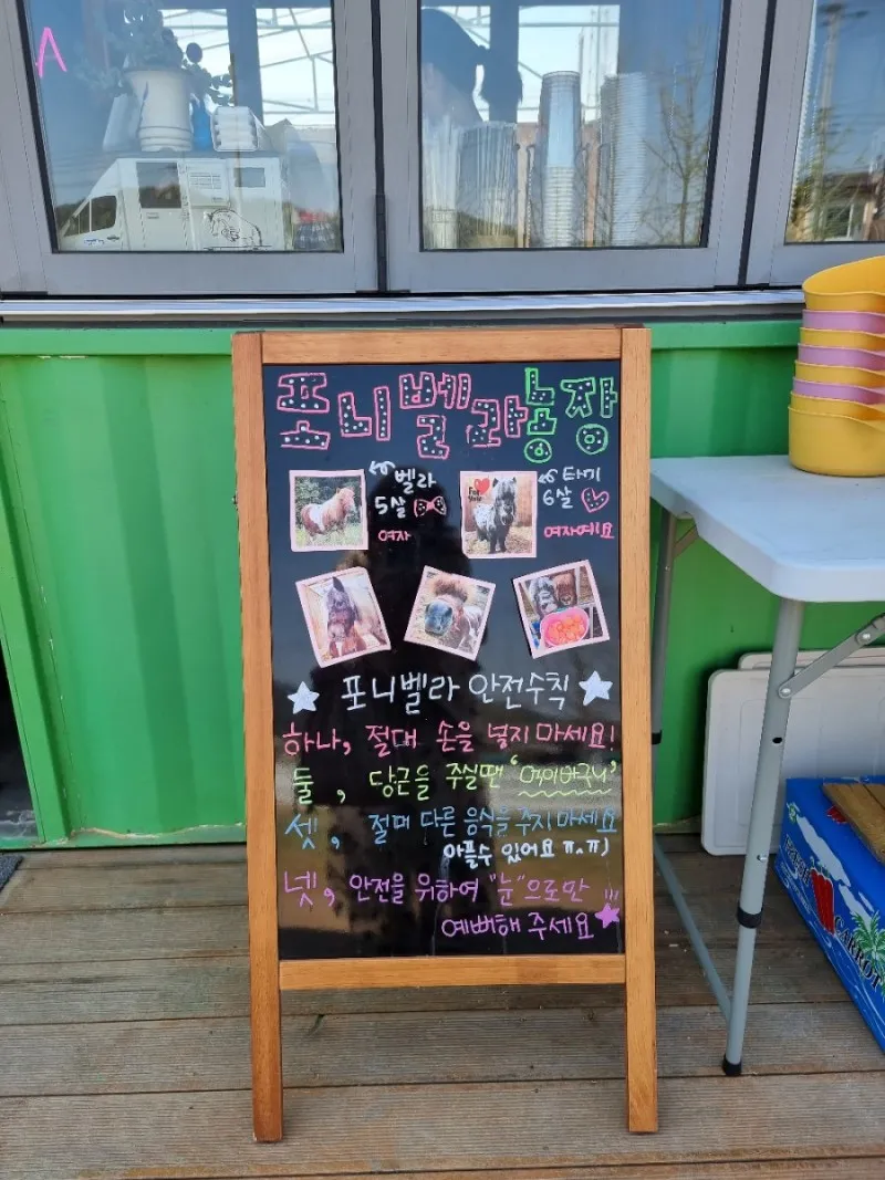 천안 포니벨라 사진 11