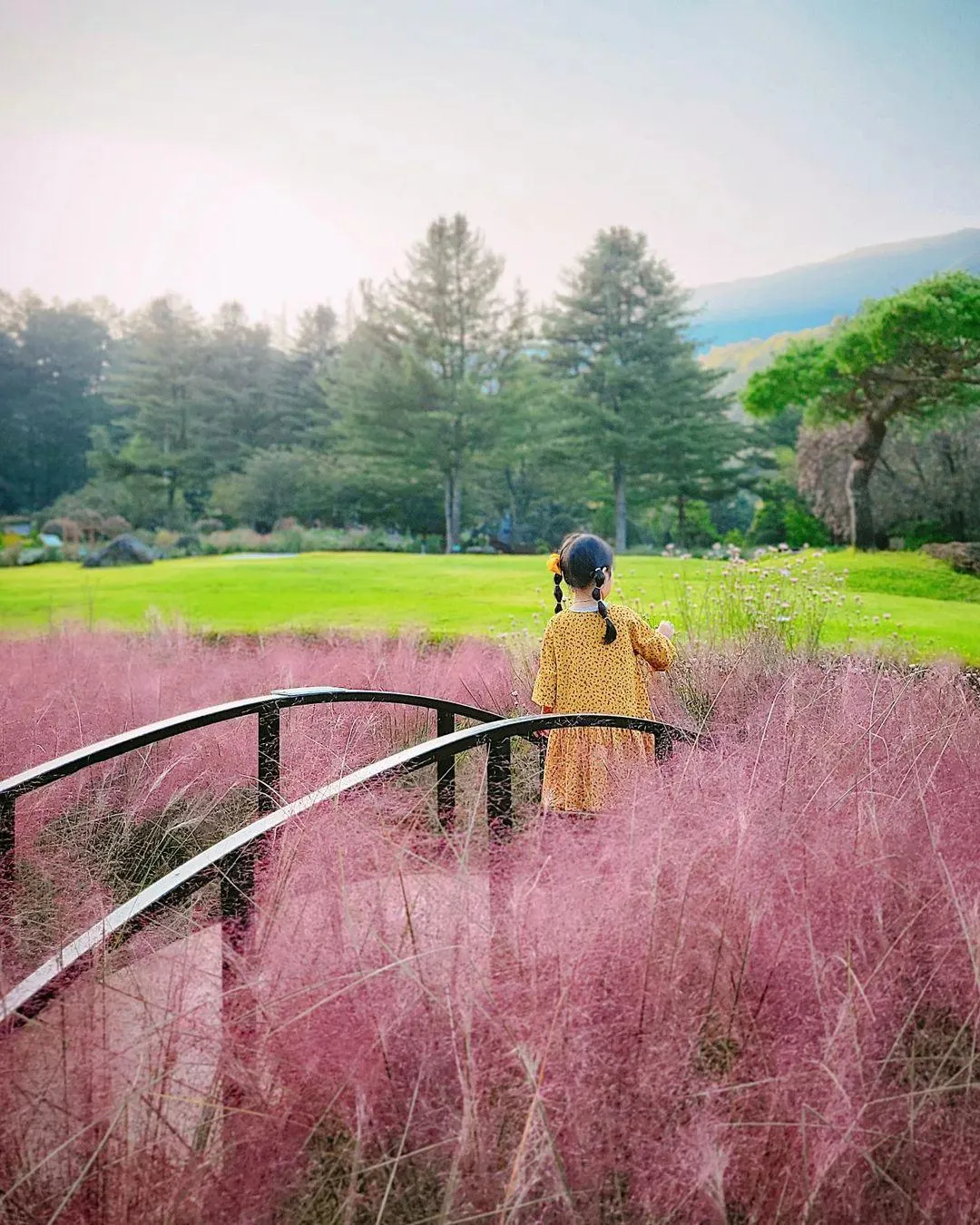 아침고요수목원