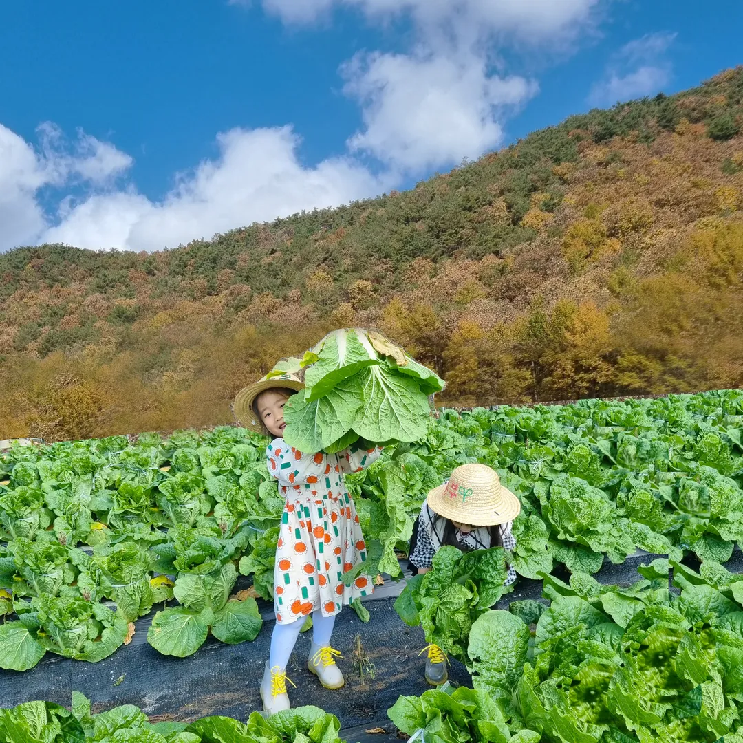 애쁘르팜 사진 7
