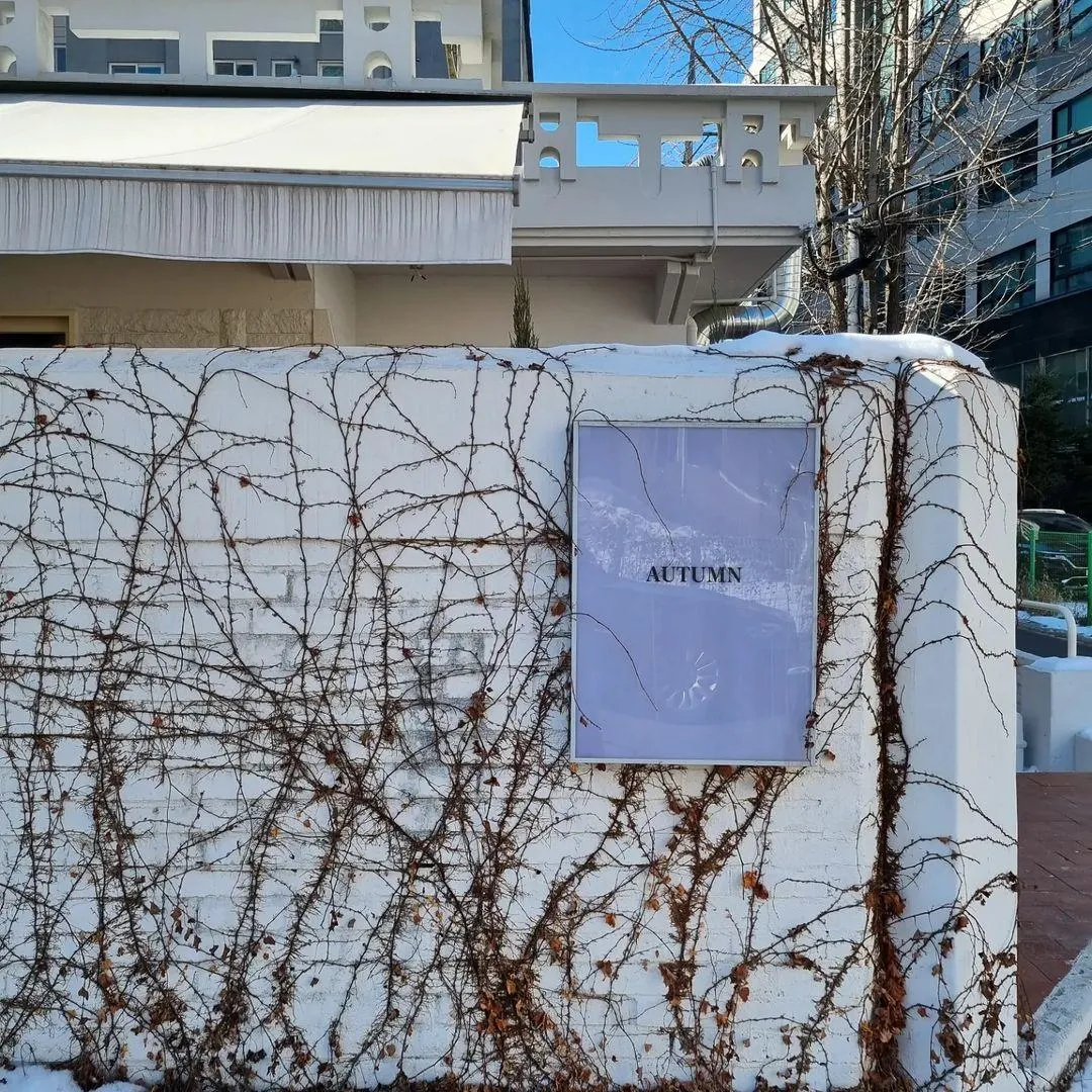 어텀바이브