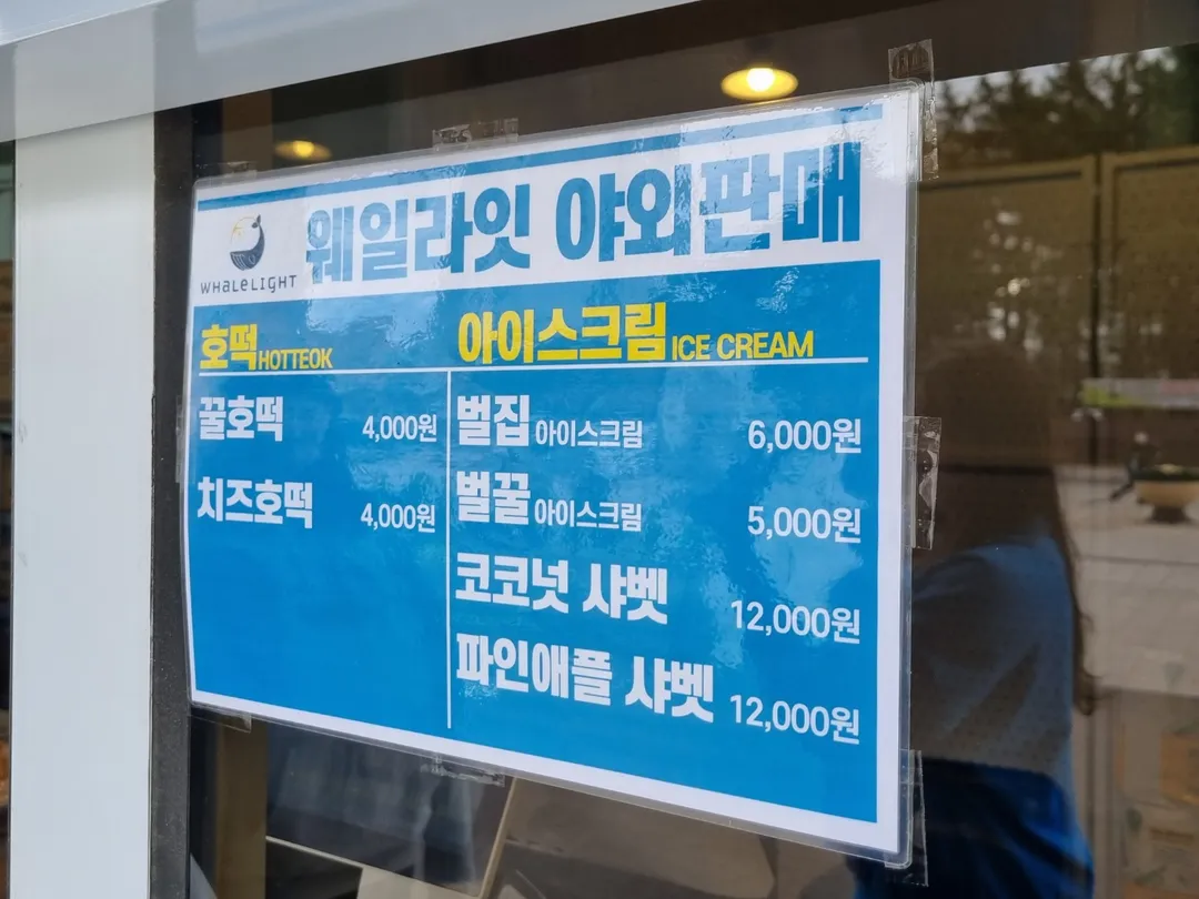 속초웨일라잇 사진 12