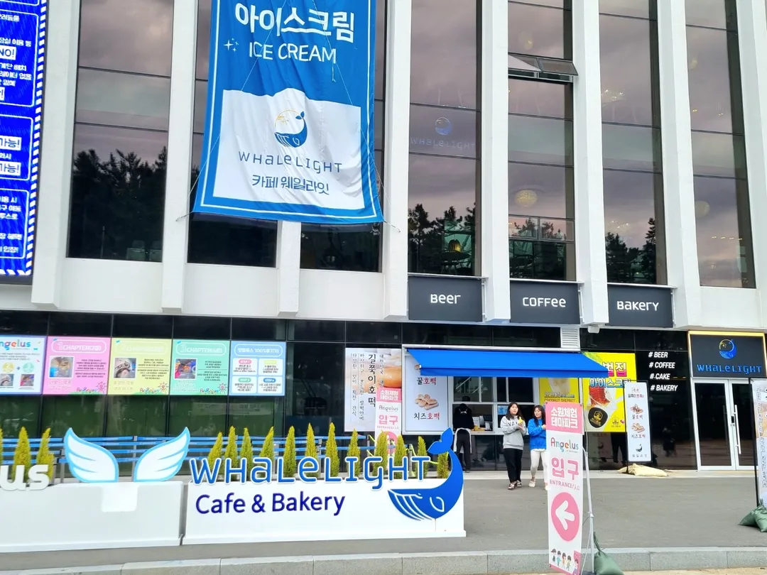 속초웨일라잇 사진 14