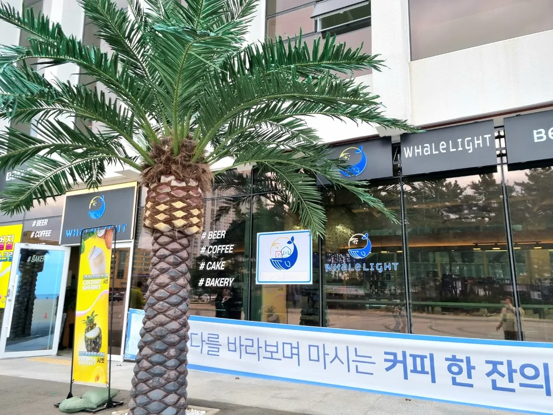속초웨일라잇 사진 16