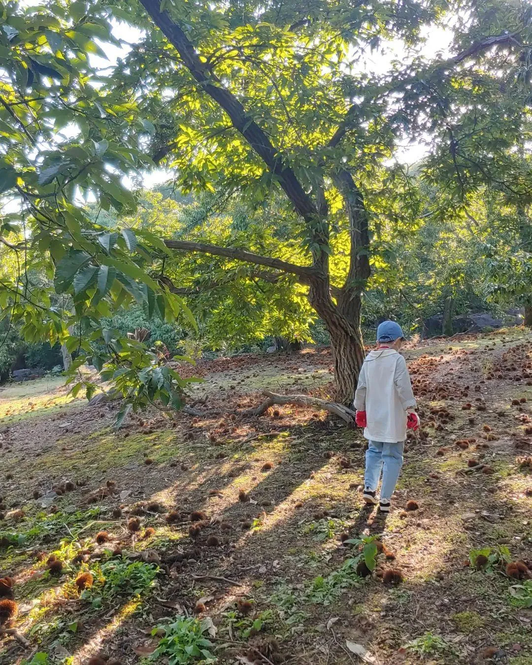 서전농원 사진 6