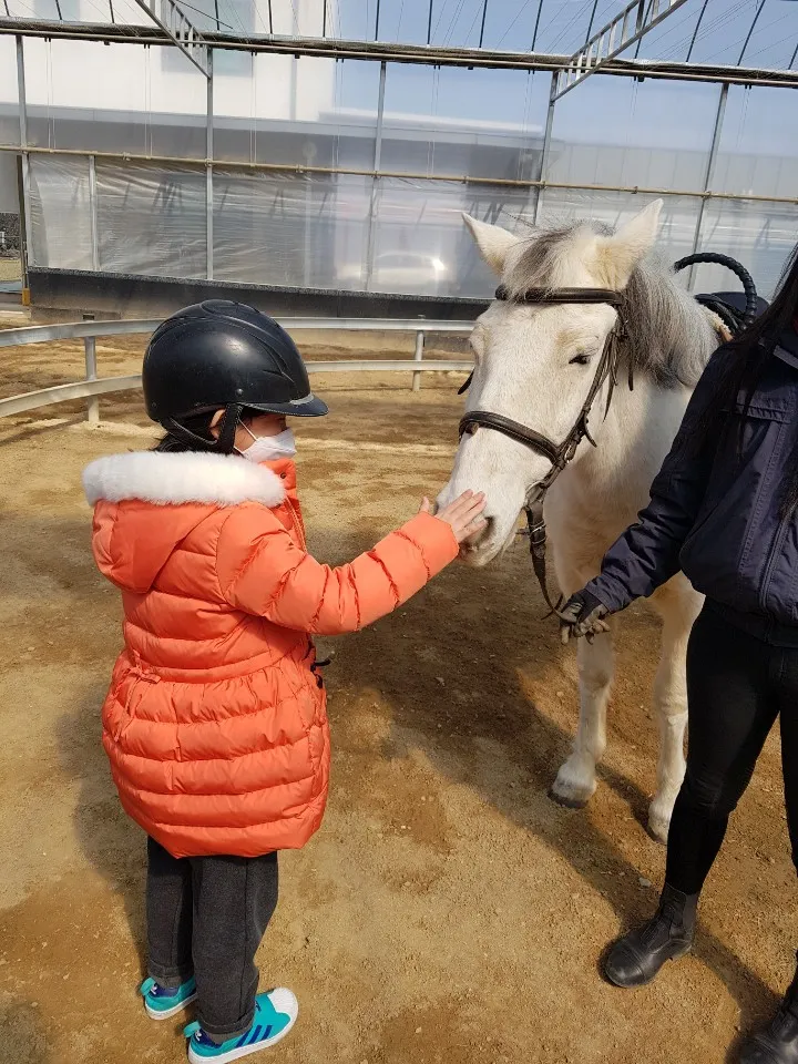 Pony Healing Riding Farm photo 10