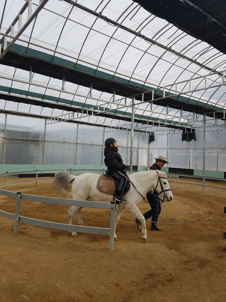 Pony Healing Riding Farm photo 11