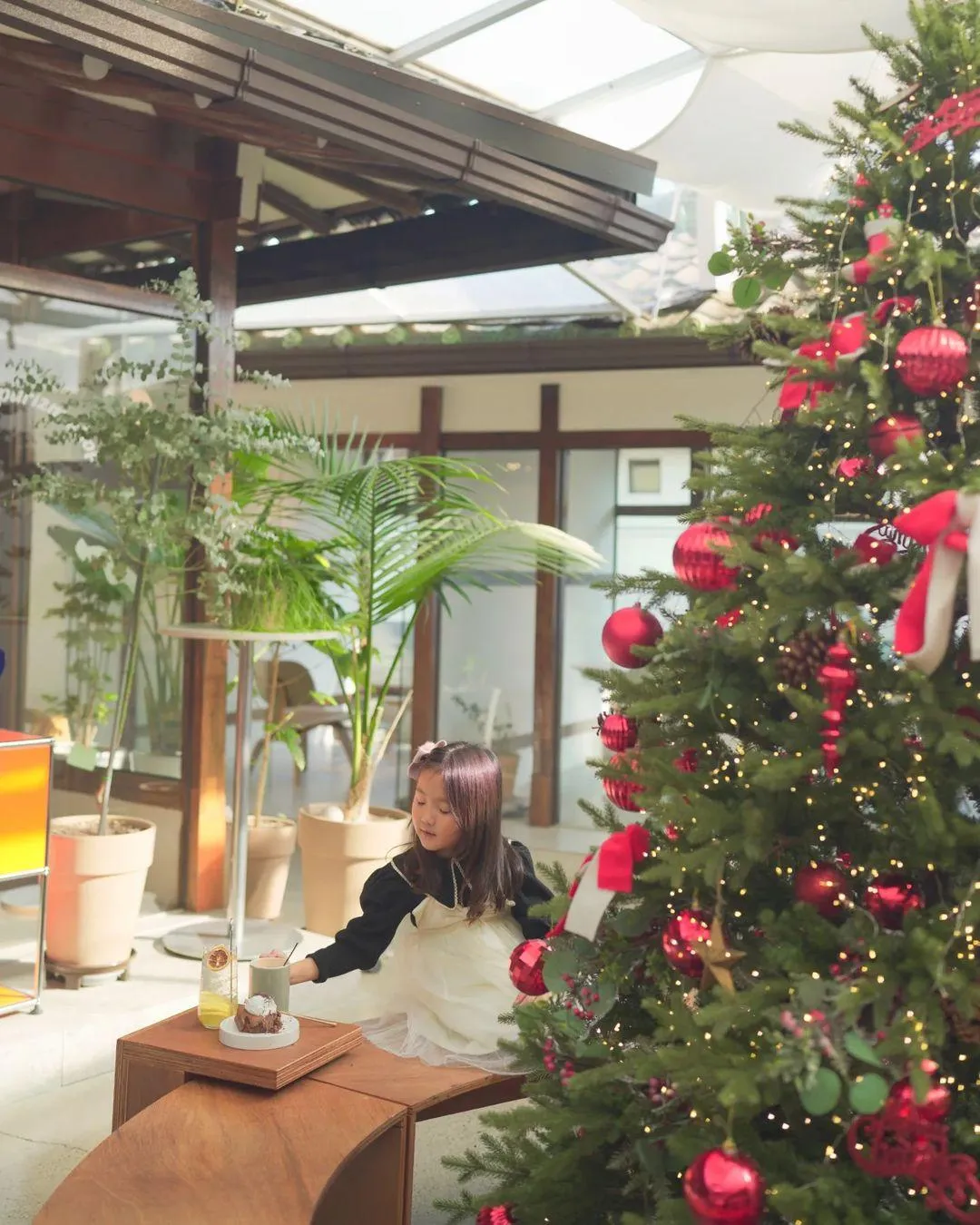 ピュアリズム 写真 14