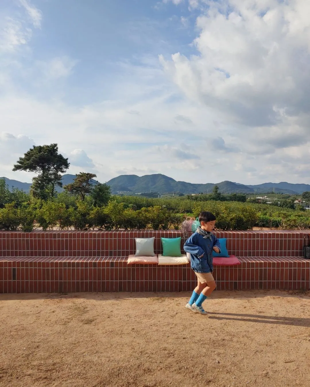 ウェンディの一日 写真 12