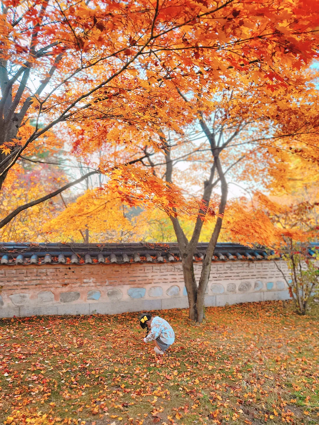 호암미술관 사진 13
