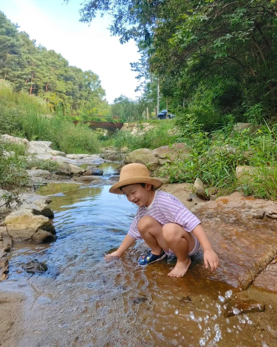 모가의 숲 계곡 사진 7