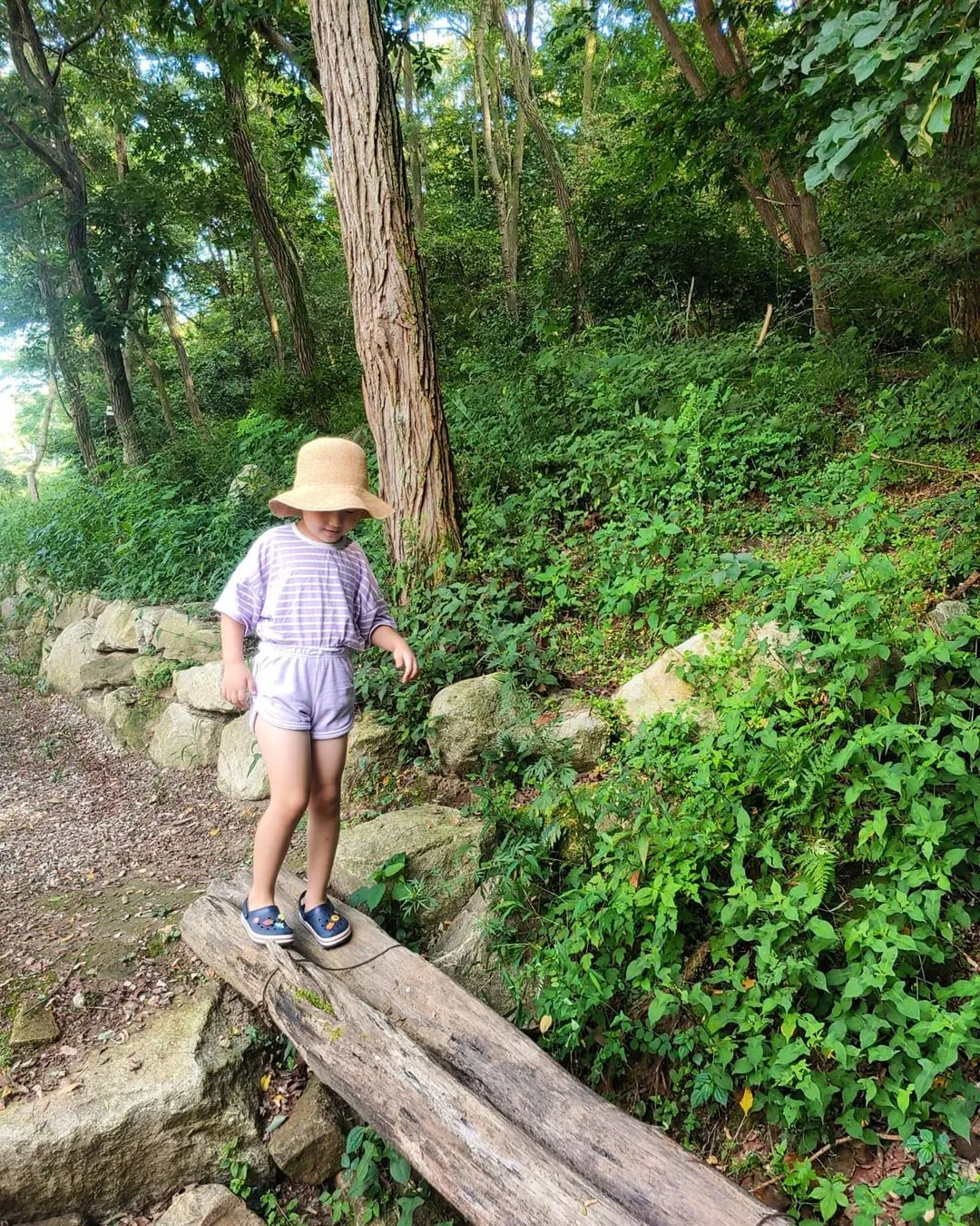 모가의 숲 계곡 사진 12