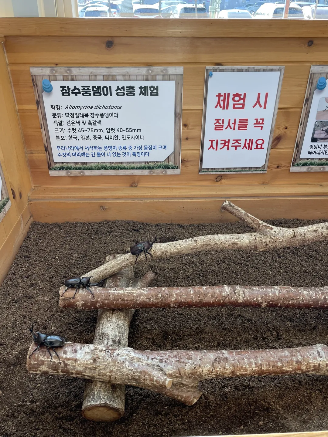 대전곤충생태관