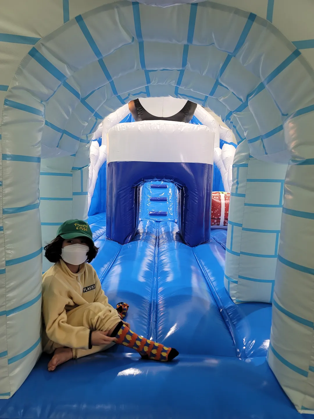ノラババ 写真 11