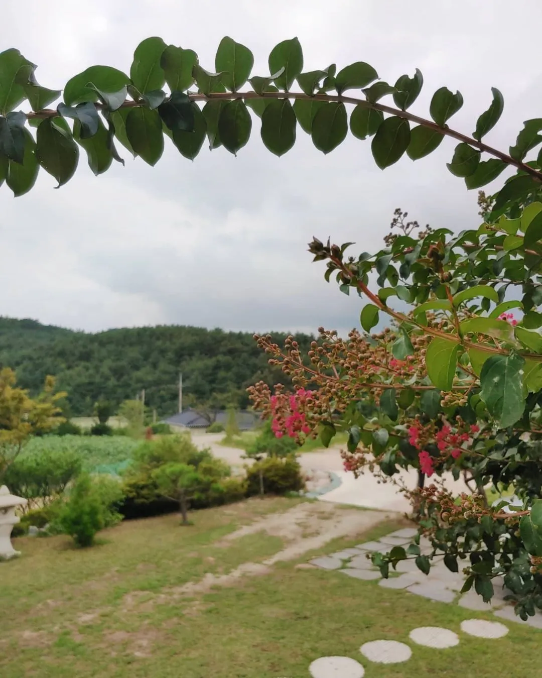 山の下民泊 写真 9