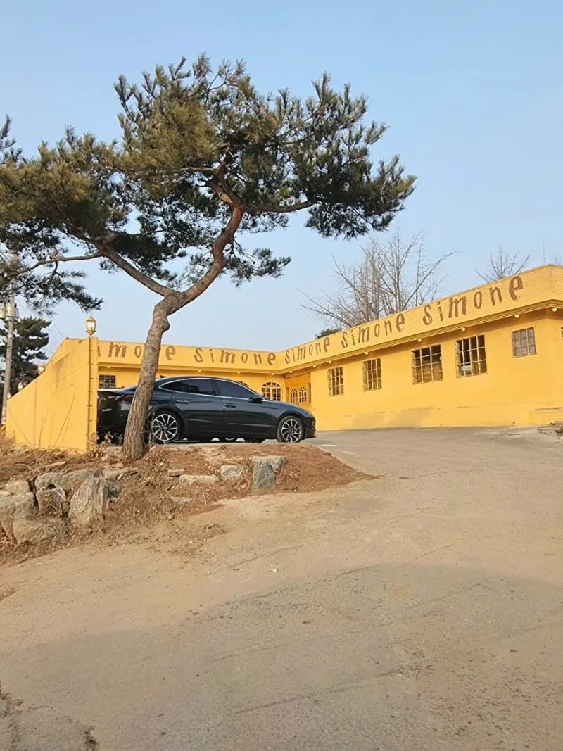 시모네