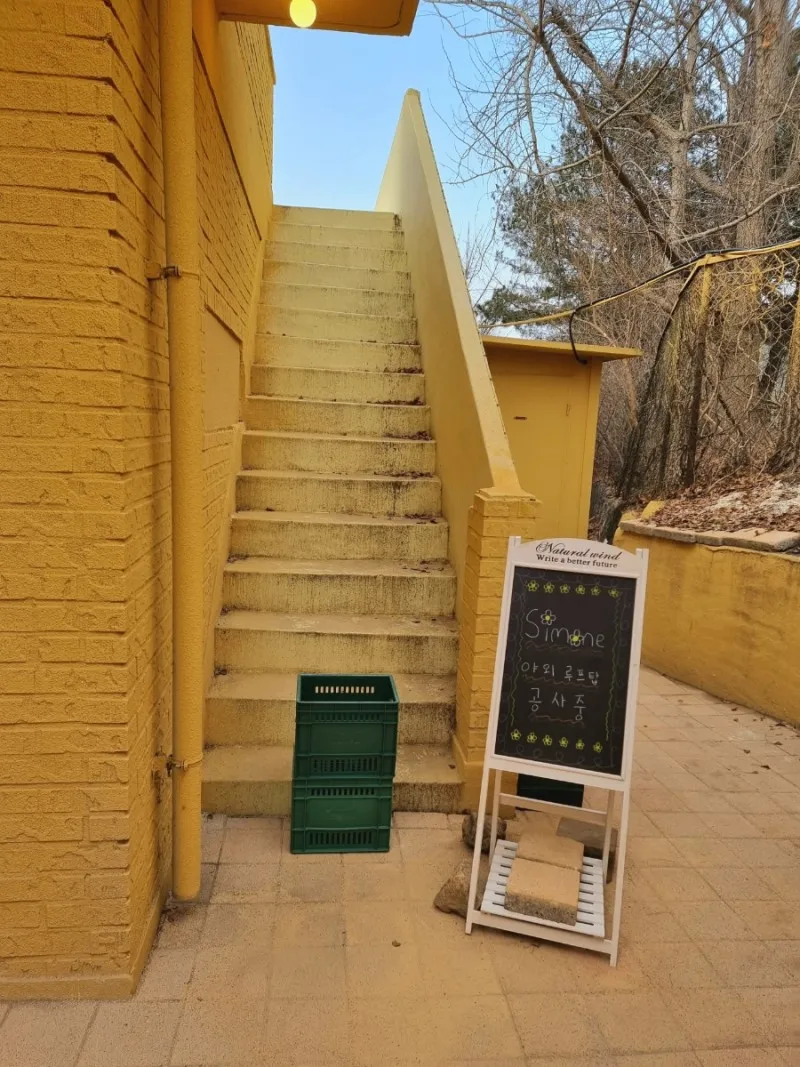 시모네 사진 8
