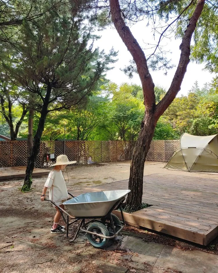 半月熊が住んでいた森 写真 11