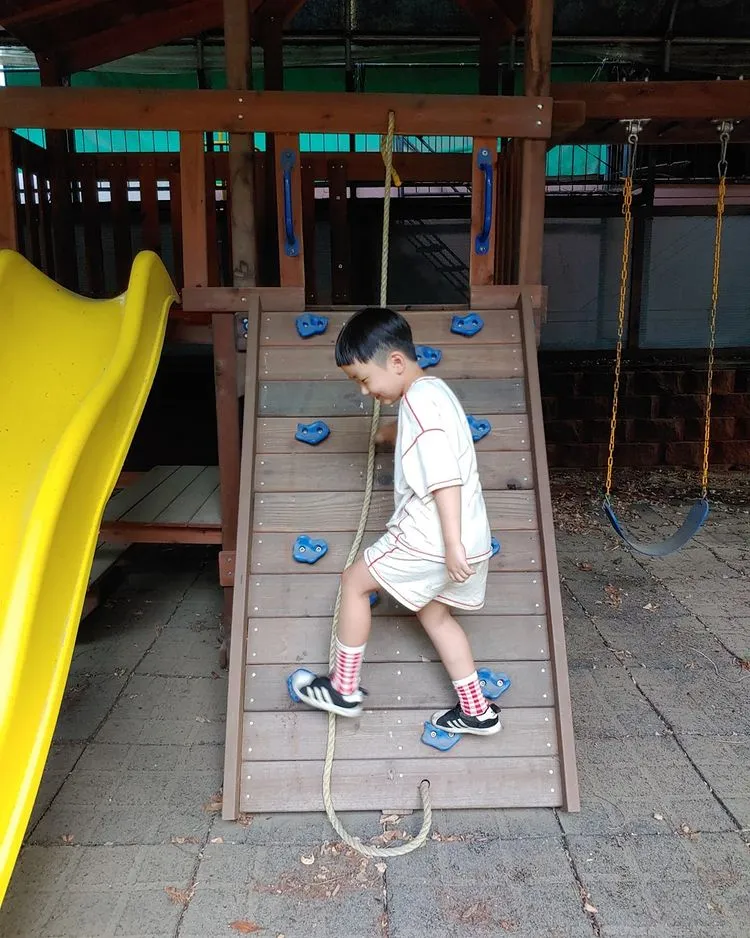 半月熊が住んでいた森 写真 10