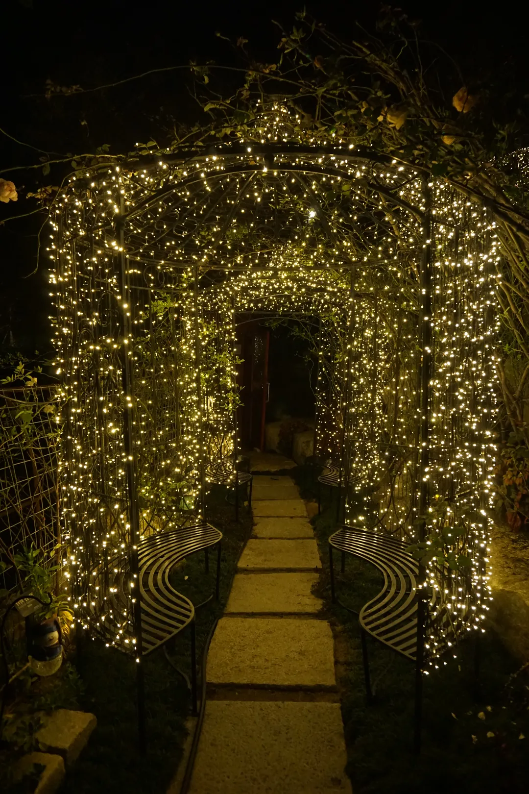 Jinhae Botanic Museum photo 24