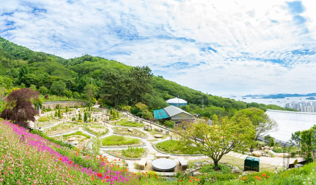 Jinhae Botanic Museum photo 26