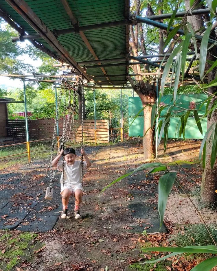 半月熊が住んでいた森 写真 9