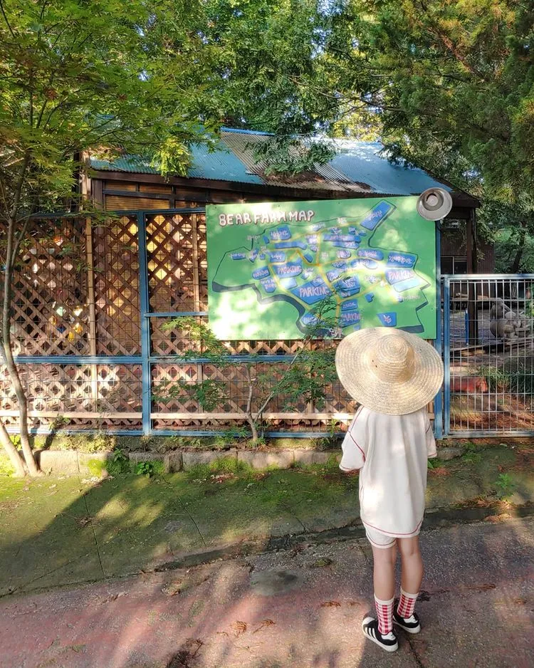 半月熊が住んでいた森 写真 16