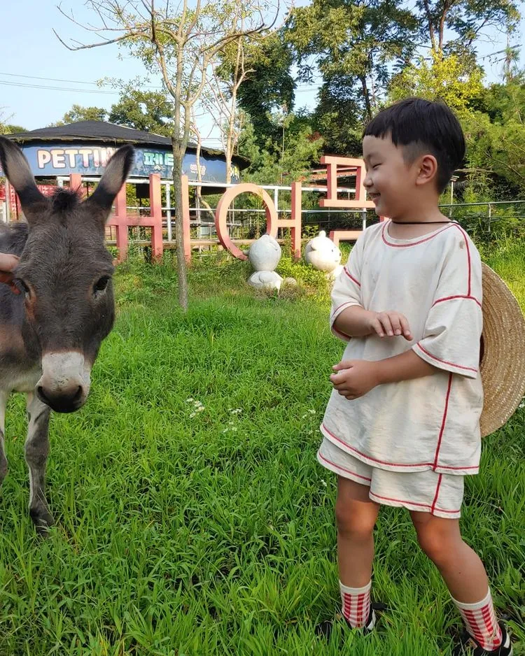 半月熊が住んでいた森 写真 12