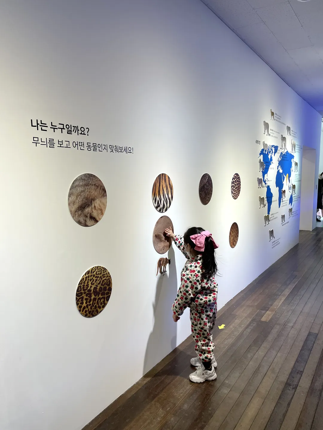 경북대학교 자연사박물관 사진 9