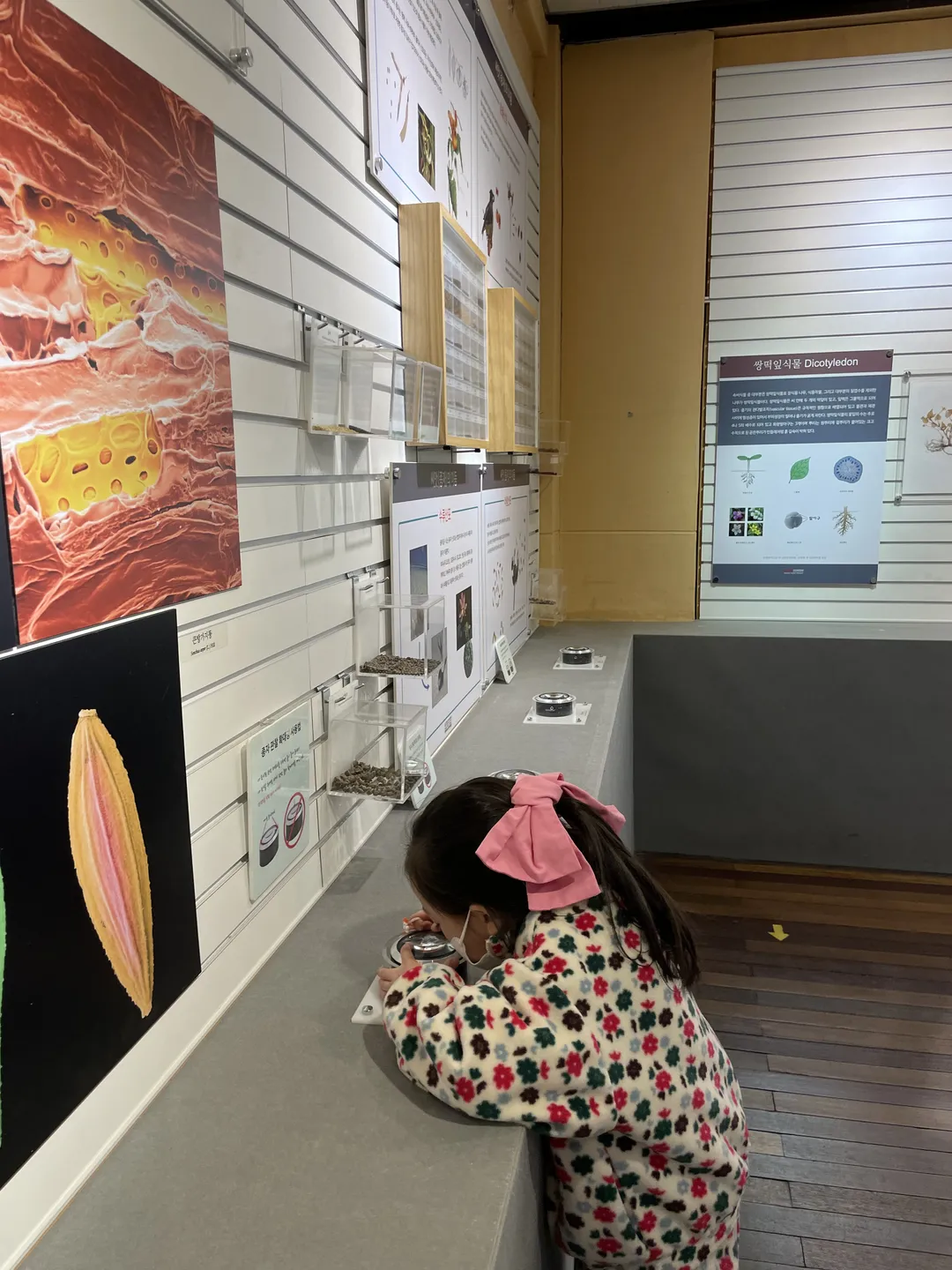 경북대학교 자연사박물관 사진 6