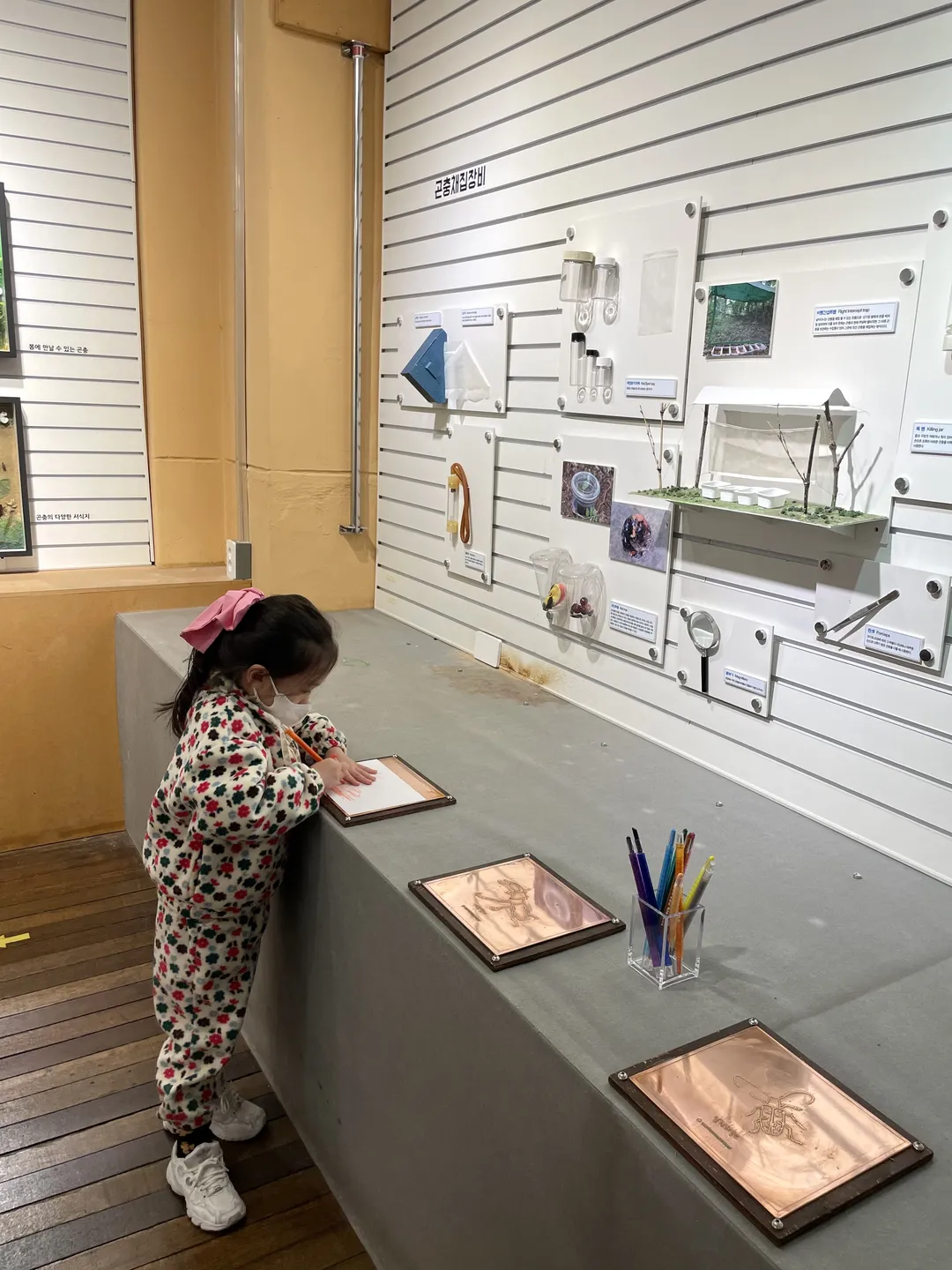 경북대학교 자연사박물관 사진 7