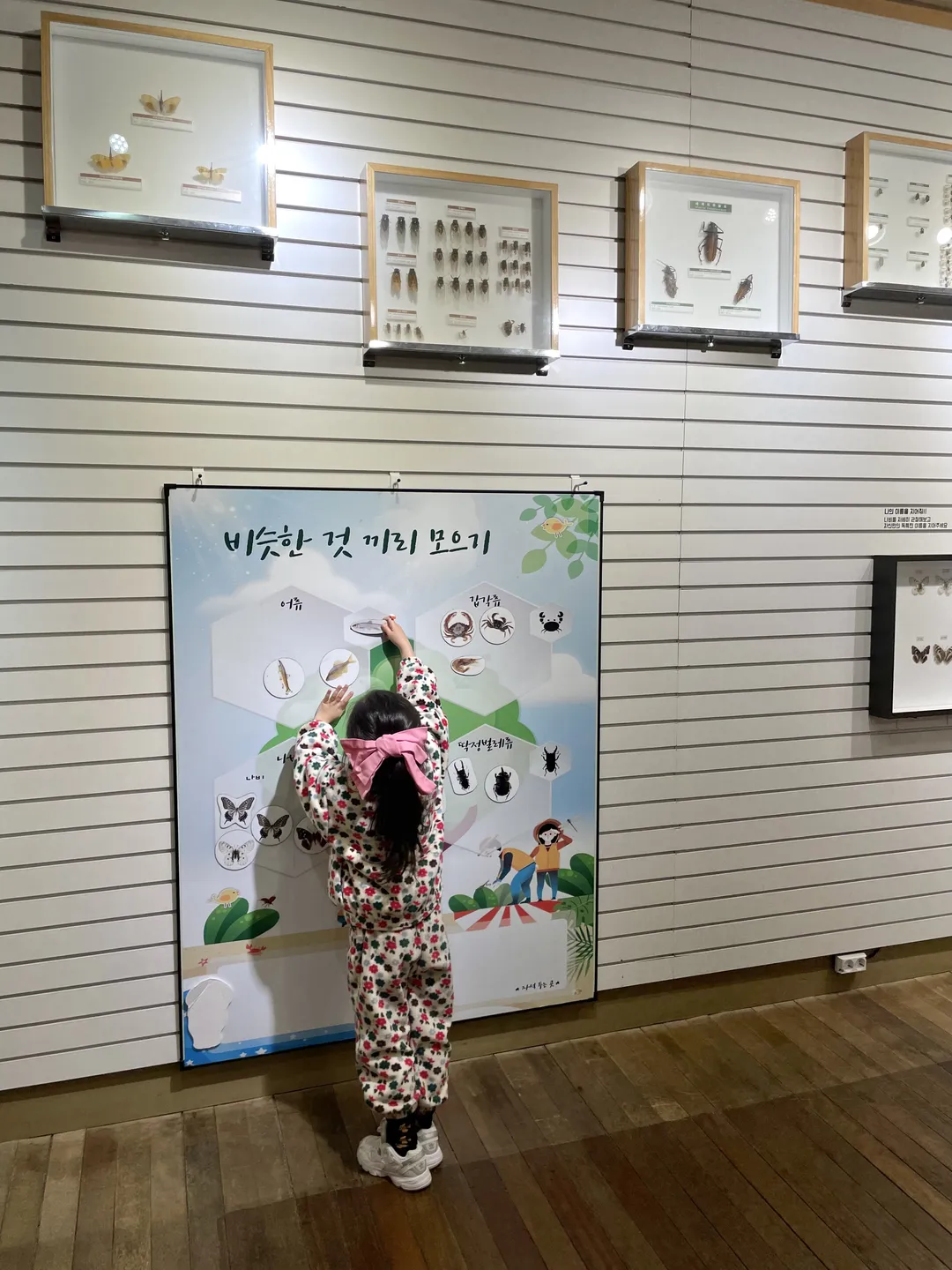 경북대학교 자연사박물관 사진 11