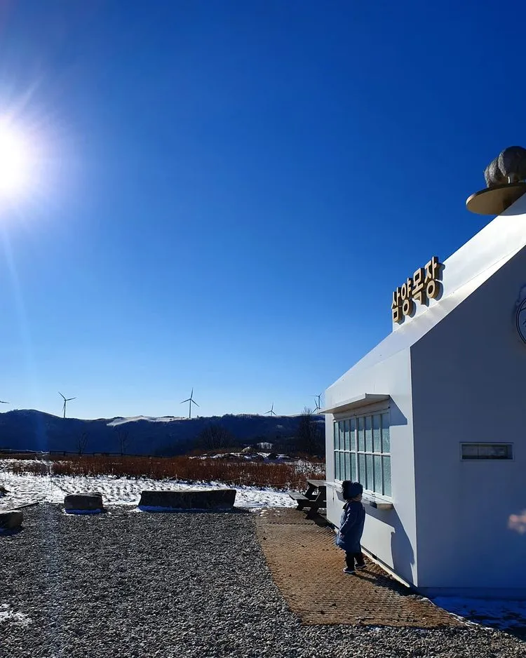 대관령 삼양라운드힐 사진 11