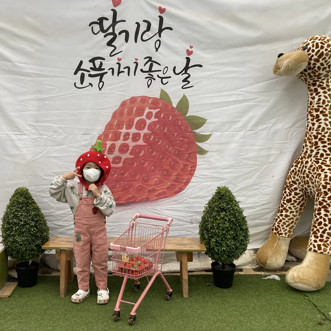 딸기랑소풍가기좋은날 딸기체험농장