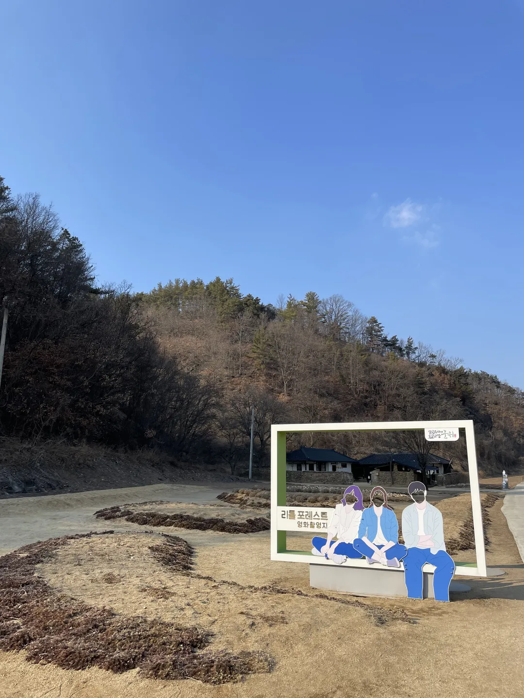 Little Forest Filming Site photo 8
